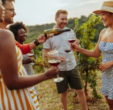 Group of diverse friends socializing in vineyard and drinking wine. Man is pouring glass one of his female friend